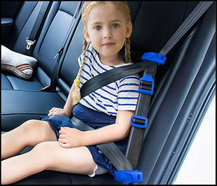 Isuzu Dc Child Seat Belt Restraints Fitted